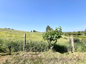 View- click for photo gallery